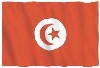 vlag tunesië